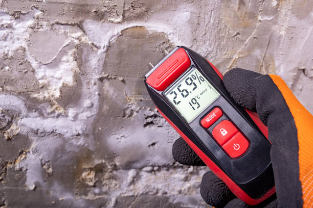 Best Emergency Mold Removal  in Millersburg, OH
